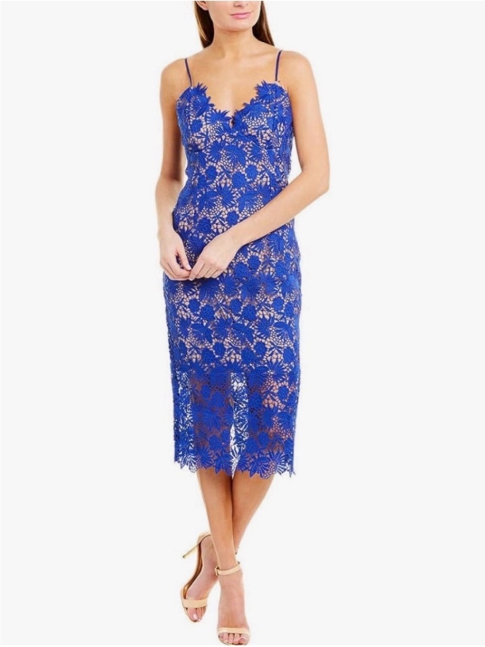 Bardot Royal Blue Lace Floral Midi Dress - Picture 2 of 13